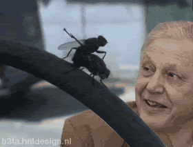 Posted Image