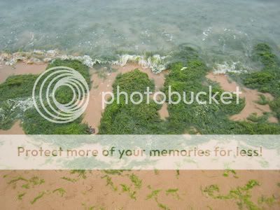 青島你好3 - sakana66 - 時 旅 人 Photobucket
