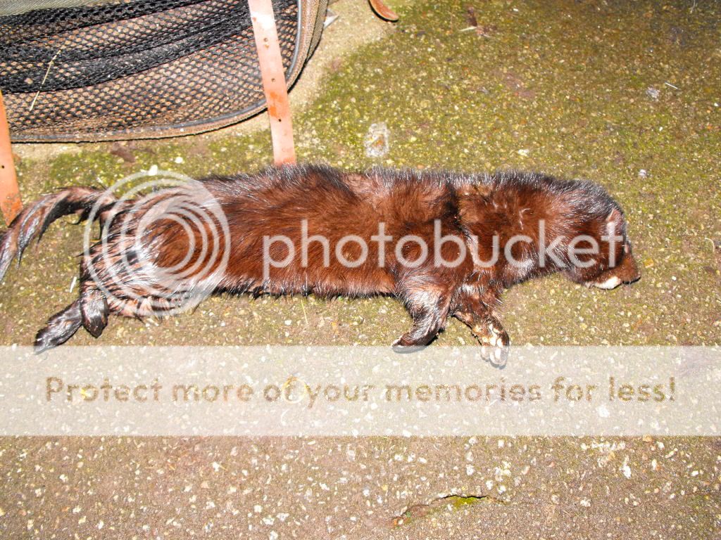 DSCF2047.jpg