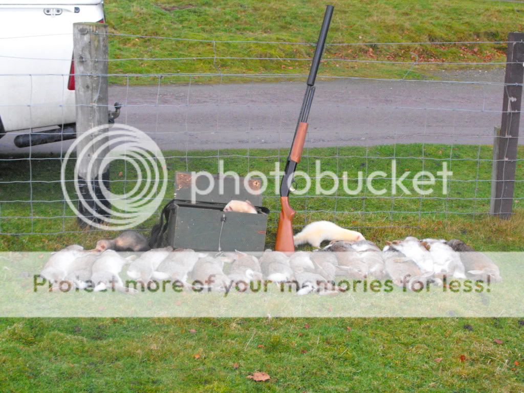 DSCF3105.jpg