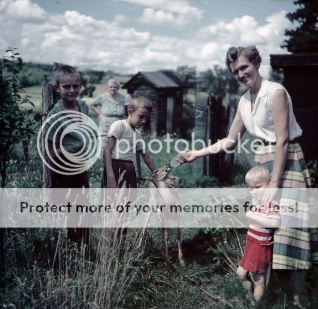 Photobucket