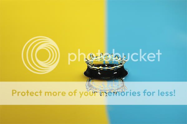 IMAGE: http://i379.photobucket.com/albums/oo235/CamDiver/BlueYellow.jpg