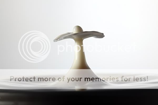 IMAGE: http://i379.photobucket.com/albums/oo235/CamDiver/MilkyEgg.jpg