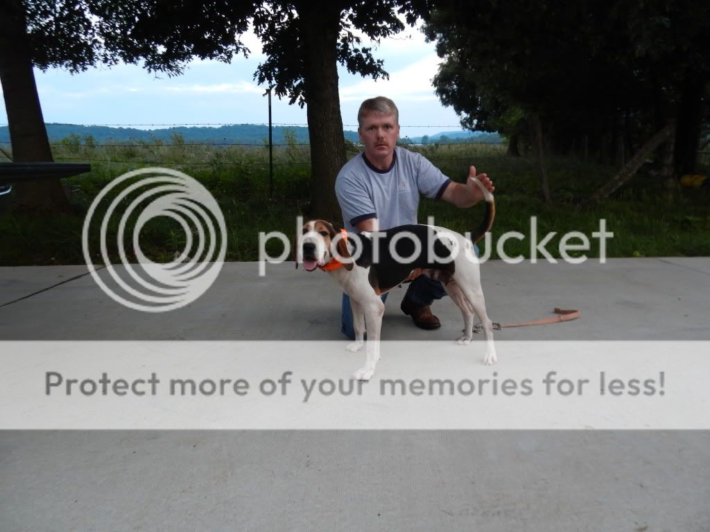 To acquire Stylish turpins rube pictures trends To acquire Stylish turpins rube picture trends