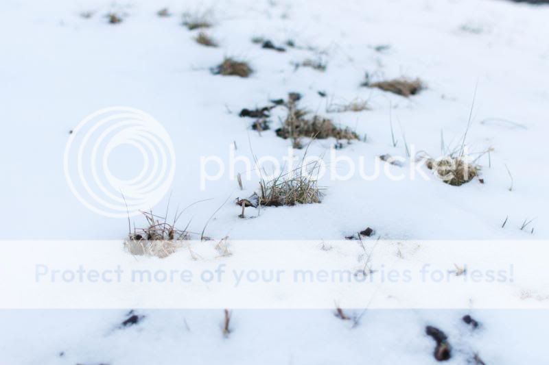 photo DayintheLifeThursday7.jpg