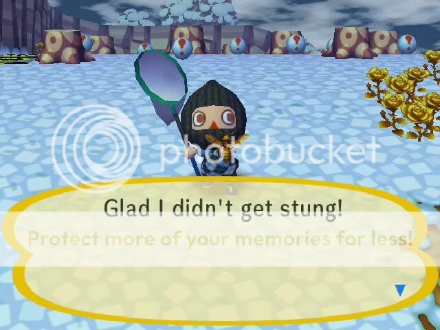 Bee? BEE! Animal Crossing City Folk Forum Neoseeker