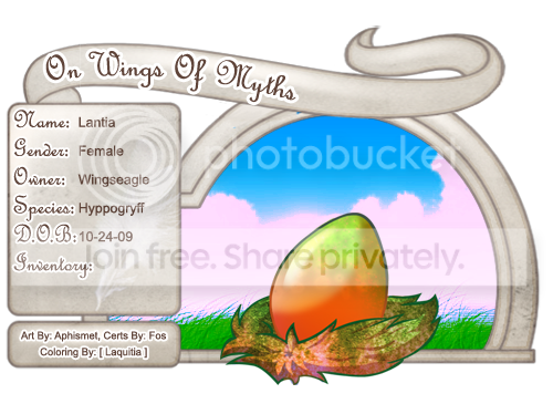 User Image